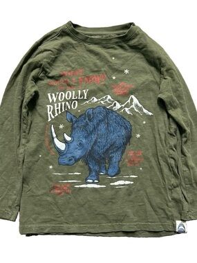 Boy’s Fat Face Green Long Sleeve Shirt Rhino Size 8/9